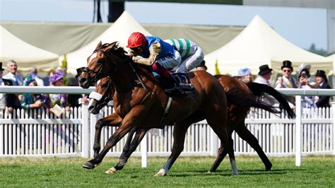 ascot gold cup odds|Ascot Gold Cup Racecard, Runners, Winners .